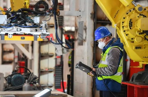 ?？飘厴I(yè)生的職業(yè)流向 數(shù)據(jù)揭示主流去向，過來人分享真實(shí)體會(huì)