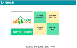 BAT如何布局移動(dòng)醫(yī)療數(shù)據(jù)處理服務(wù) 戰(zhàn)略、技術(shù)與未來展望